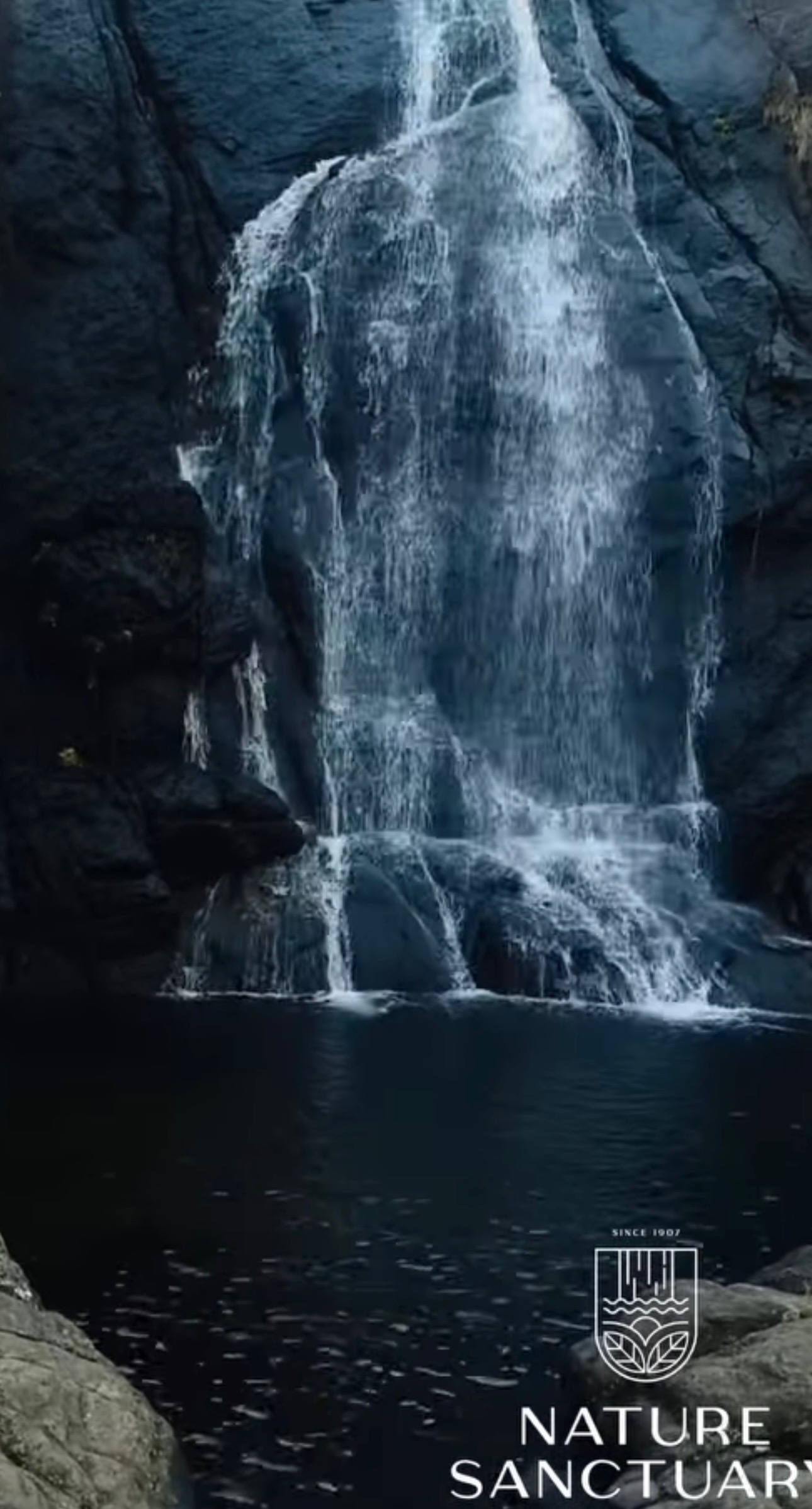 The British Climb to Madammakulam Waterfall Basin Tourism Hill Station in Kerala